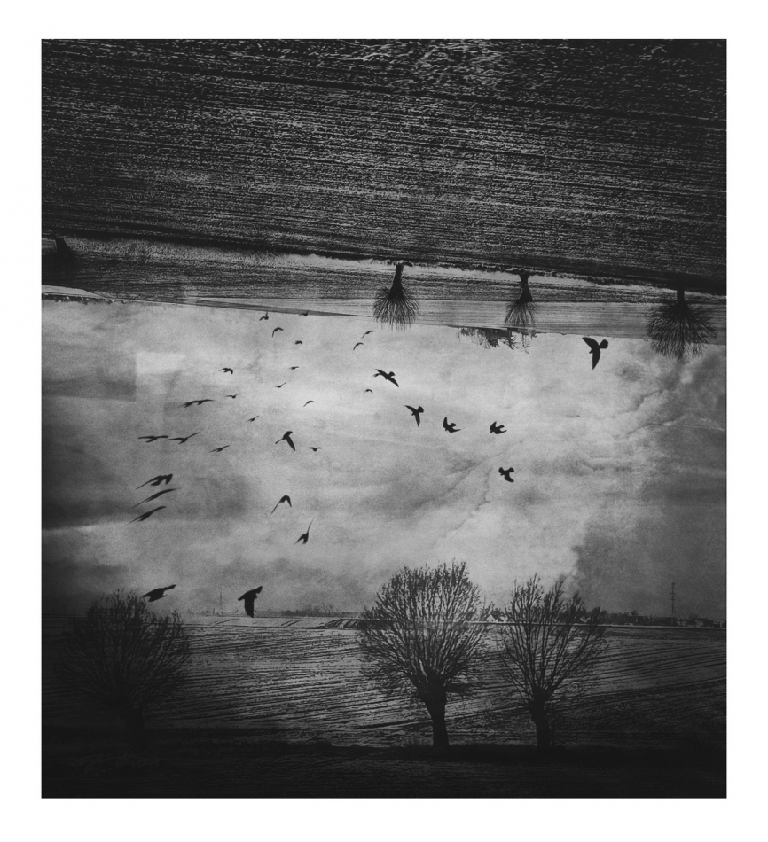 Upside Down Dreams .... . Zdjęcie 312754
