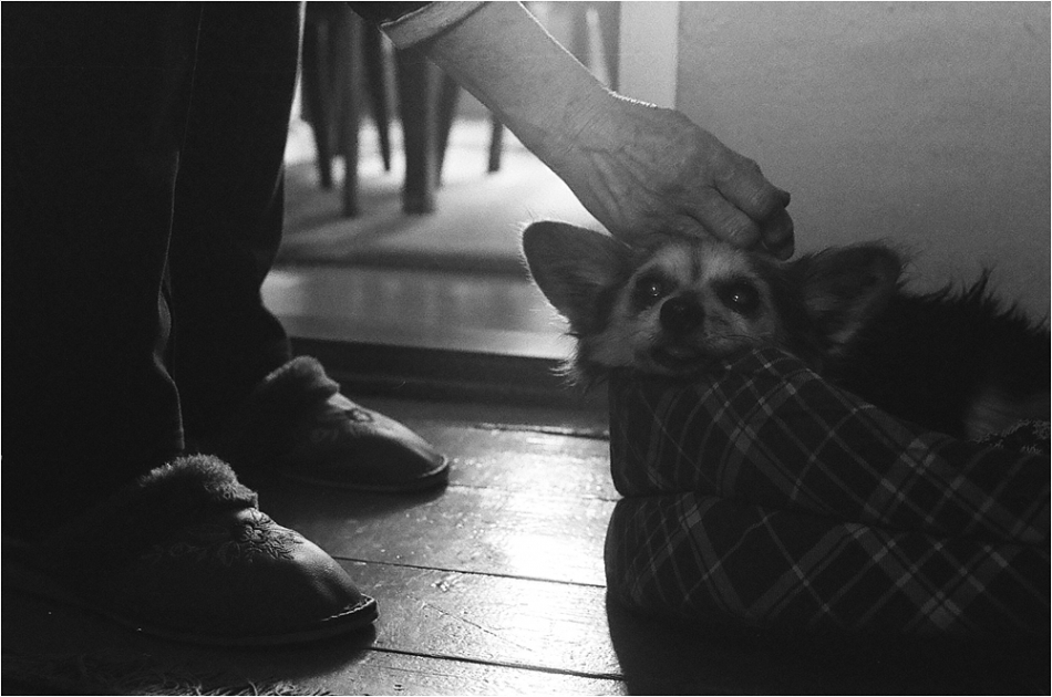 leo - przyjażń.... ..albo coś więcej niż przyjaźń  PentaxMX/Tmax400. Zdjęcie 258161