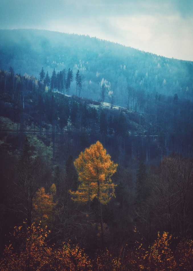 shooter76 - Brak tytułu. . Zdjęcie 295948