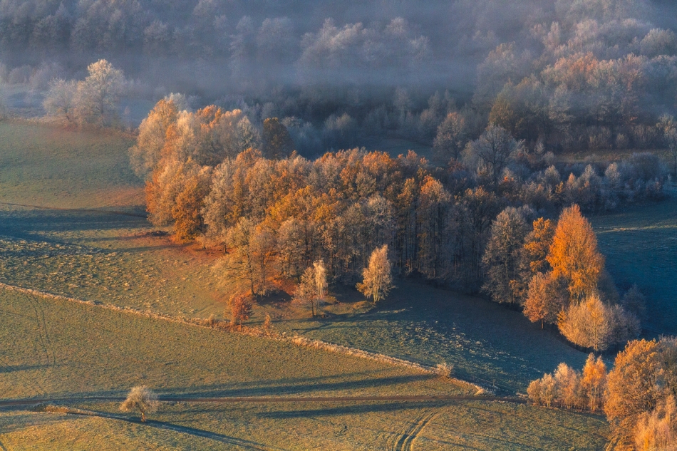 bonnieandclyde - Days of Autumn Trees.... . Zdjęcie 328449