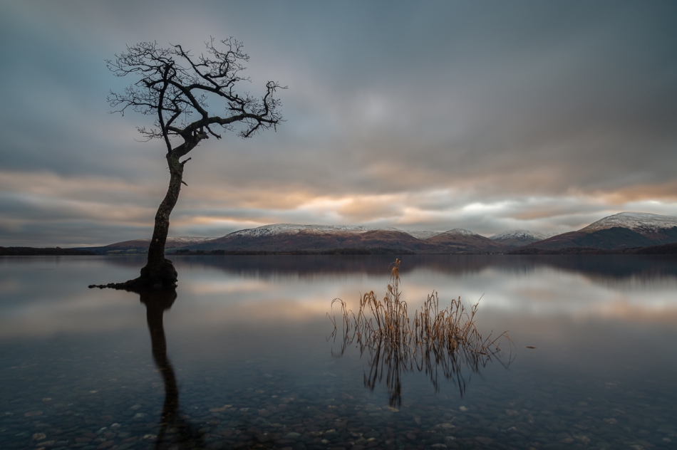 mwillman - Loch Lomond. . Zdjęcie 310546