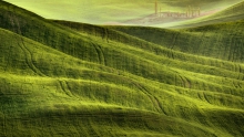 Field 