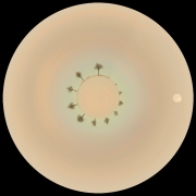 Cyferblat