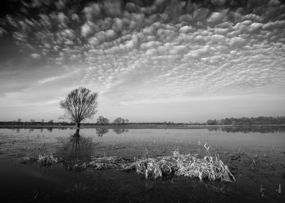 exo_82 - . . Zdjęcie 314596