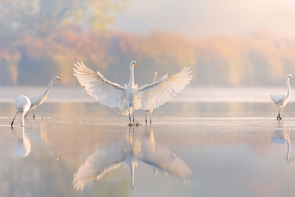 mariok - like an angel. . Zdjęcie 336807