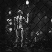 freedom?