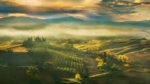 Belvedere...