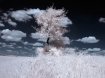 IR