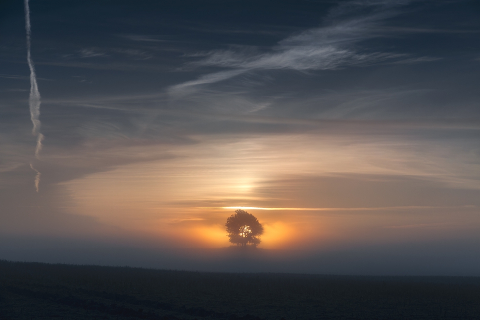 bonnieandclyde - The Very First Light.... . Zdjęcie 317227
