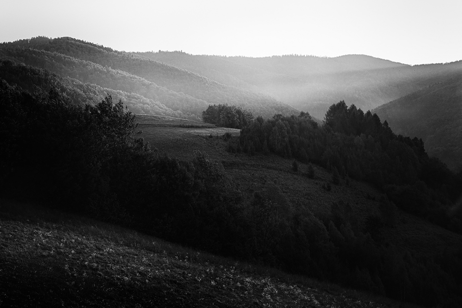 akrims - . . Zdjęcie 325184
