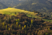 Pieniny