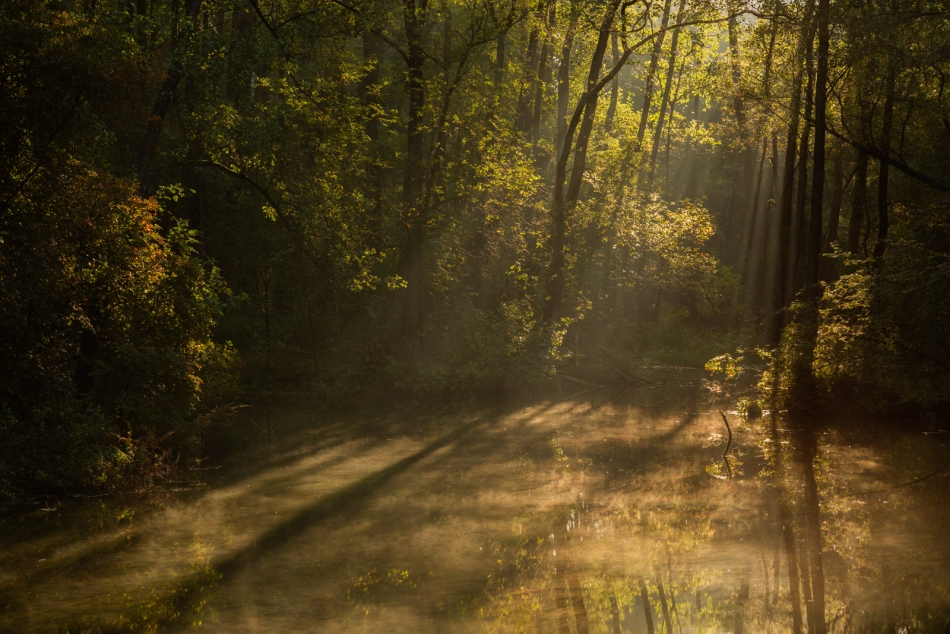 radson_foto - . . Zdjęcie 327325