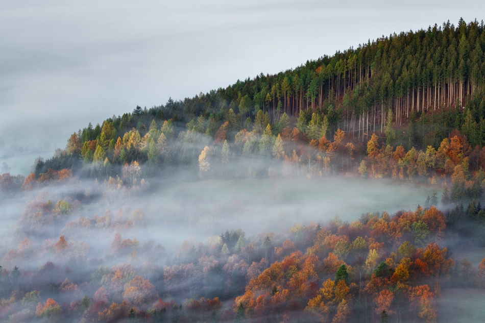 bonnieandclyde - The Land of Morning Mists.... . Zdjęcie 329021