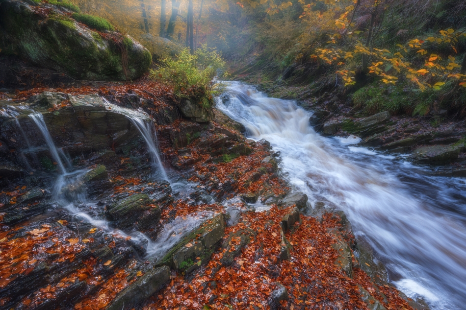 adampa - AUTUMN IMPRESSIONS. . Zdjęcie 319775