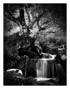 Off the beaten track