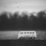 bus