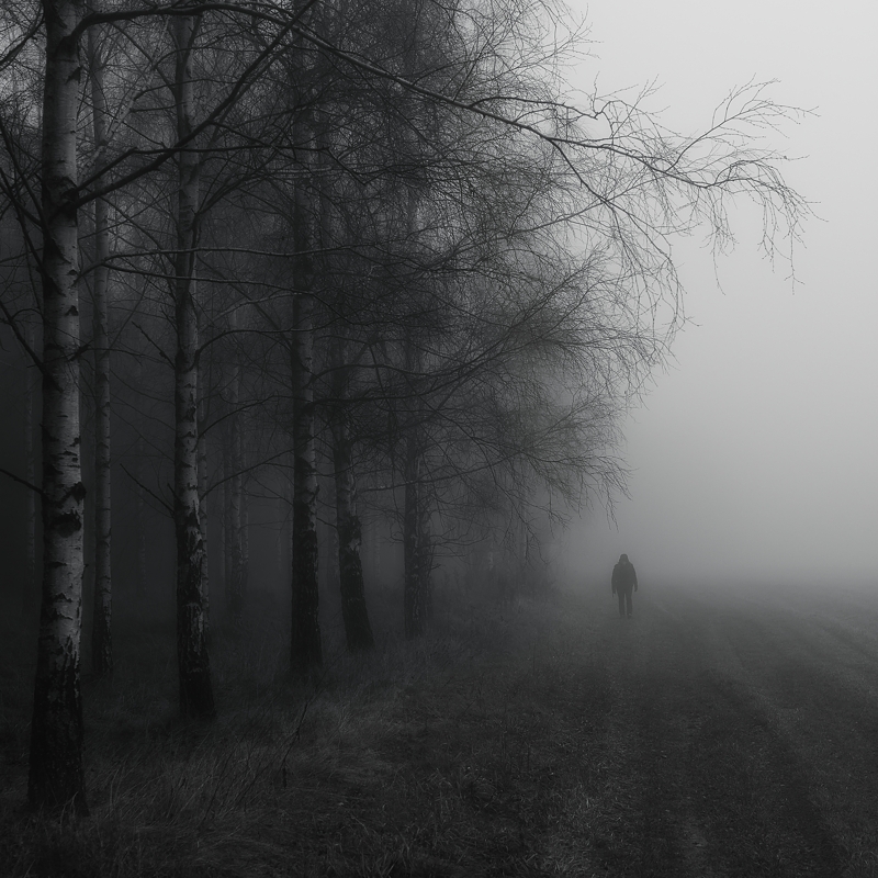 radek - Alone. . Zdjęcie 305858