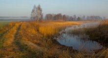 nad stawem