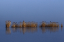 Śpiący staw