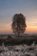 kolorowanka