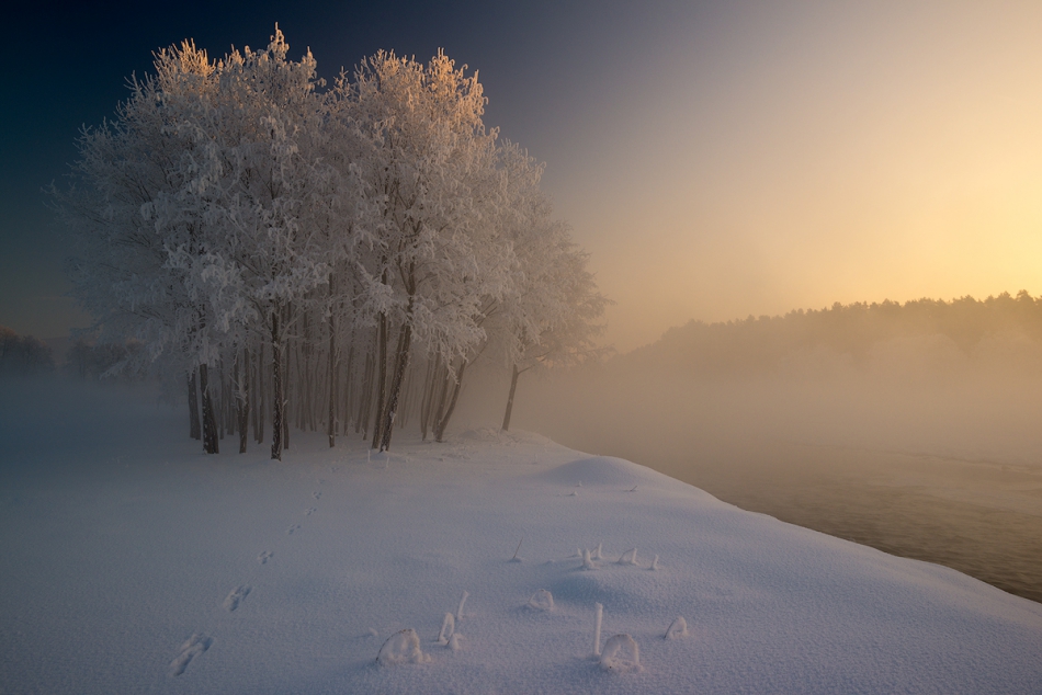 iceflower - The First.... . Zdjęcie 204889