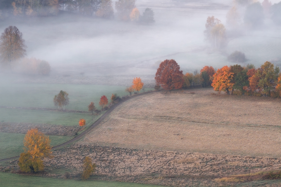 bonnieandclyde - Autumn.... . Zdjęcie 328654