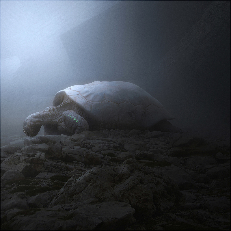 shume - IDOL II. . Zdjęcie 97353