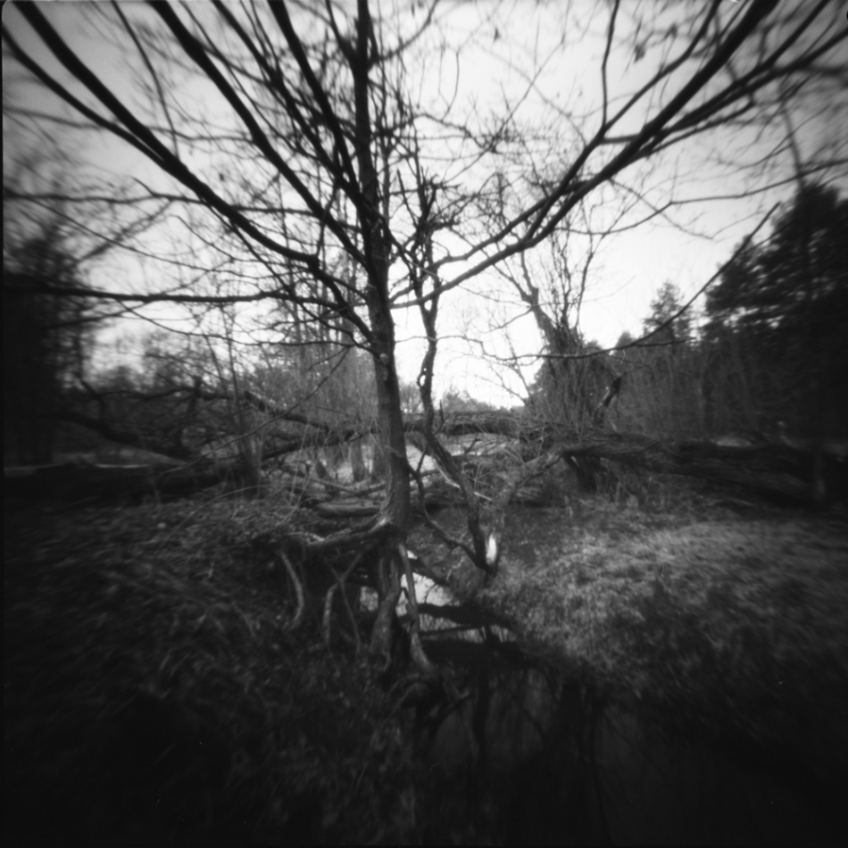 keytoo_ - . Ondu 6x6, Ilford PANF plus 50 Epson V550. Zdjęcie 331843