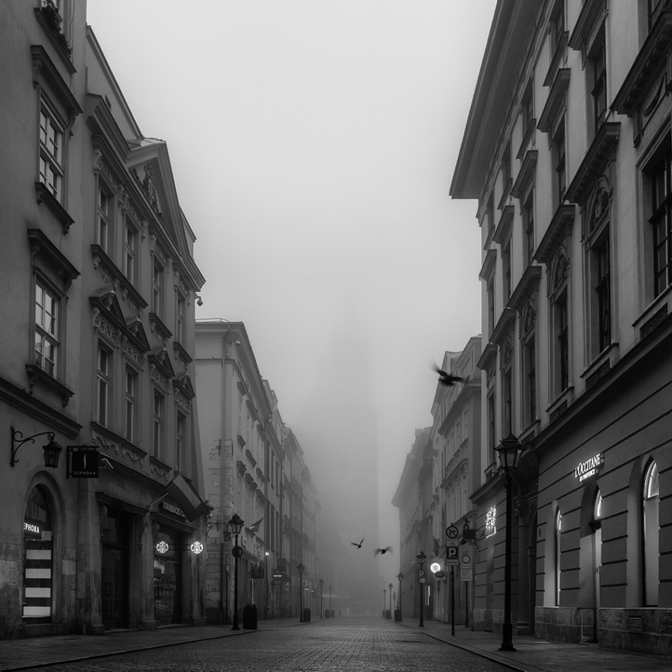 akrims - . . Zdjęcie 277322