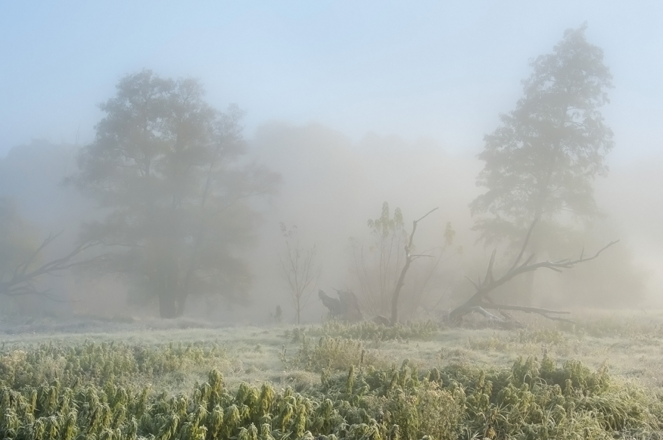 ****. Zapraszam na PE. Zdjęcie 336674