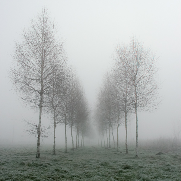 akrims - #001. . Zdjęcie 131843