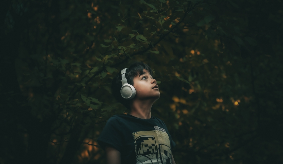 .. . Zdjęcie 336519