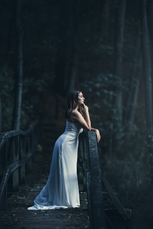 6kaf4e76zn - Bridge. in a dark forest. Zdjęcie 331453