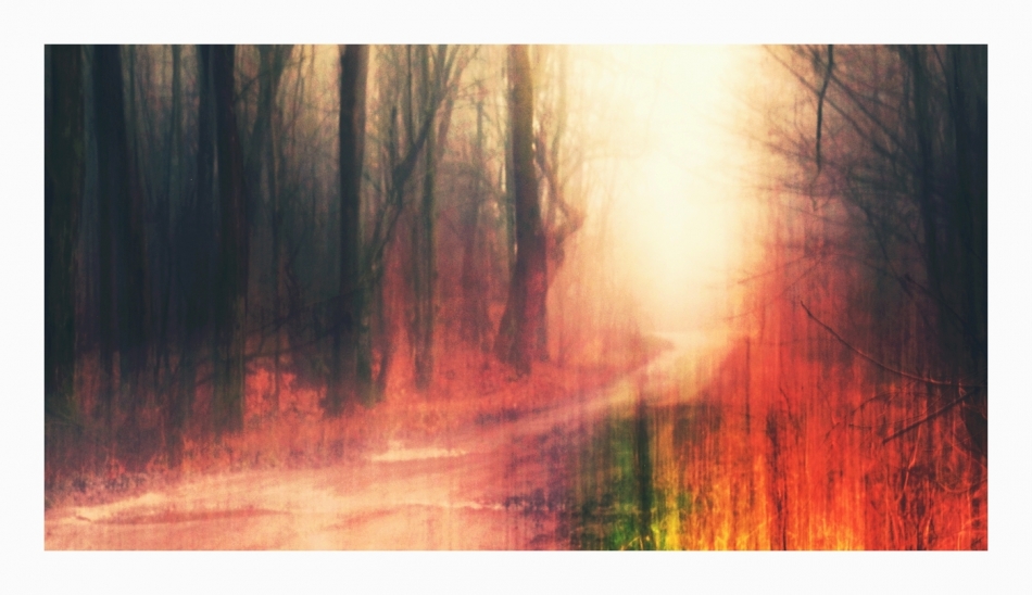 keytoo_ - Autumn Colors. . Zdjęcie 327014