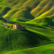 Green Rhapsody...