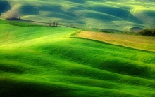 Green&Yellow