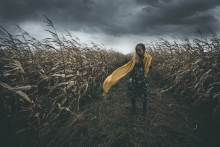 Cornfield
