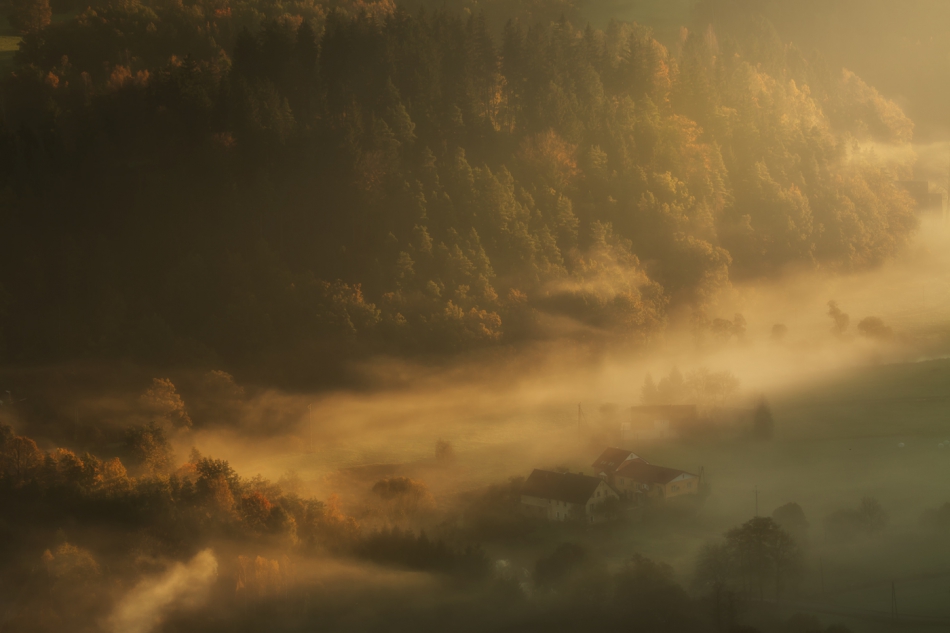 bonnieandclyde - A Colour of Light. . Zdjęcie 286158