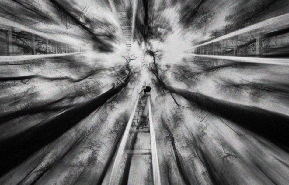 lukasz_de - Deep forest. . Zdjęcie 69910