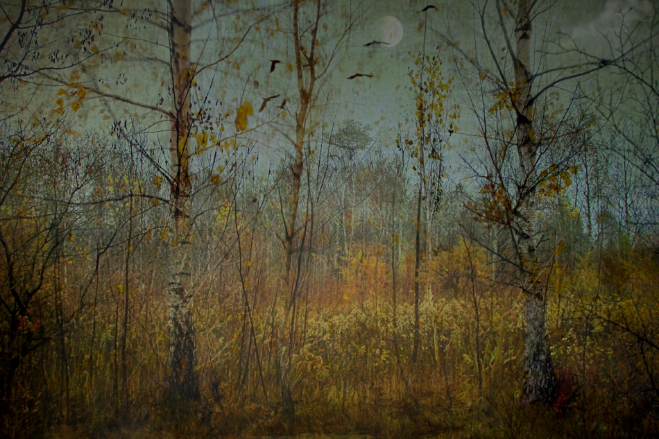 Jest jesień.. . Zdjęcie 336847