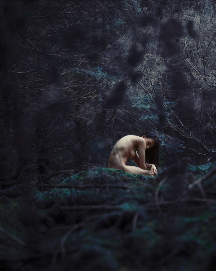 czaszki - Dark Woods. . Zdjęcie 234315