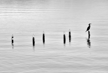Pierwszy