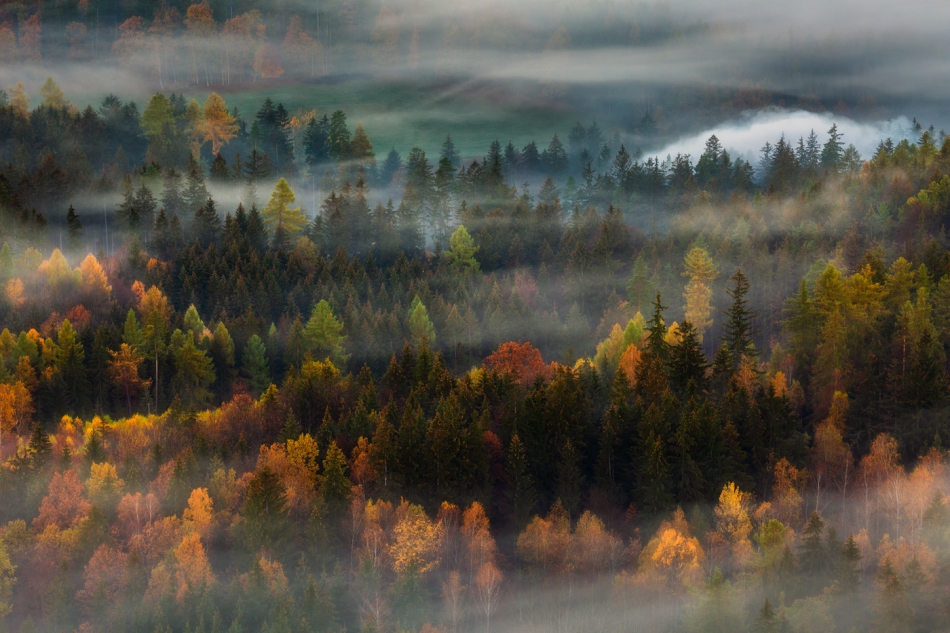 bonnieandclyde - Autumn.... . Zdjęcie 295642