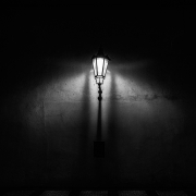 nocny motyl