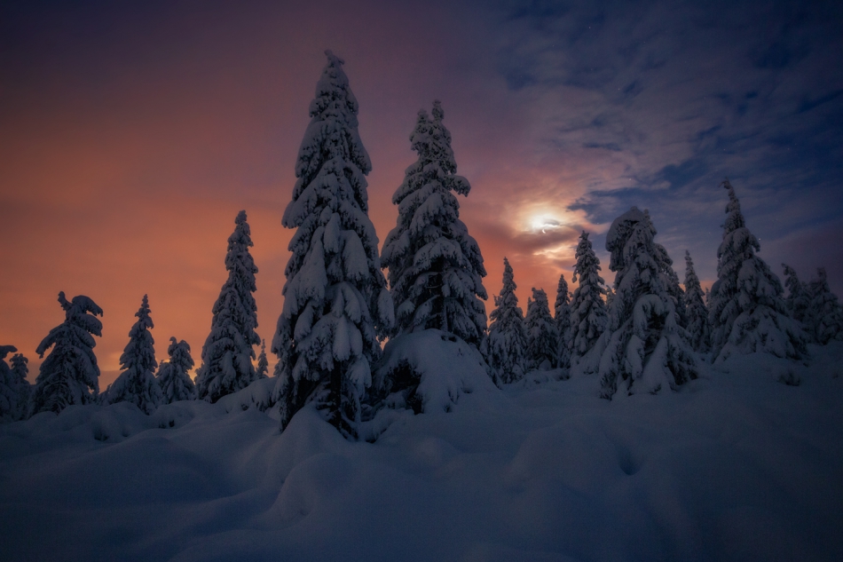 bonnieandclyde - In the Dark of Night... . . Zdjęcie 311115