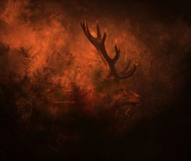 Red October 
