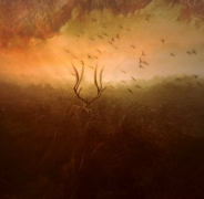 Mother Nature's Son ...