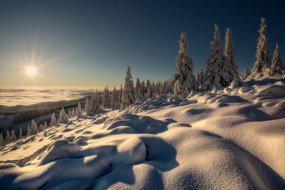 bonnieandclyde - Winter.... . Zdjęcie 310663