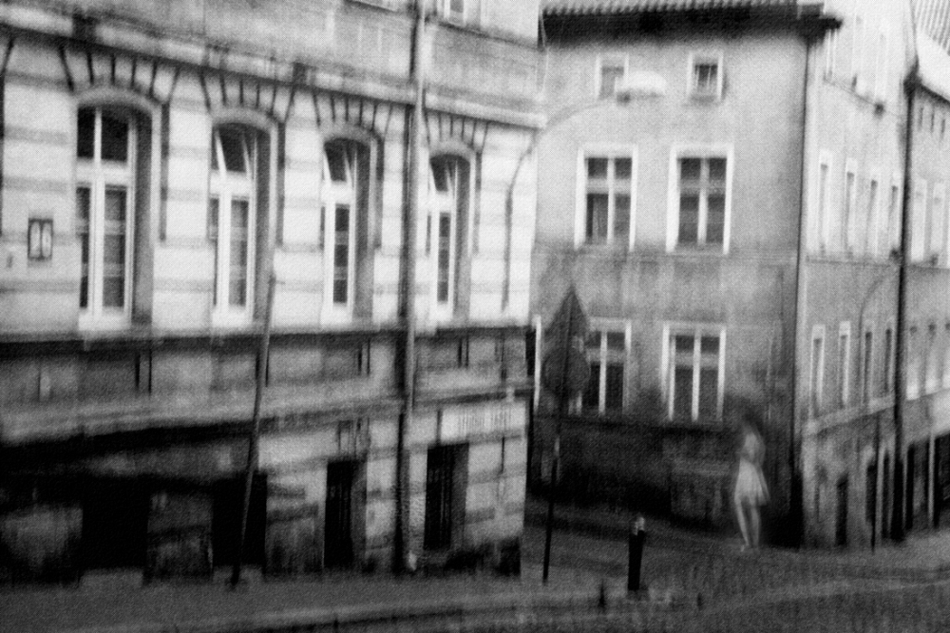 . . Zdjęcie 173681