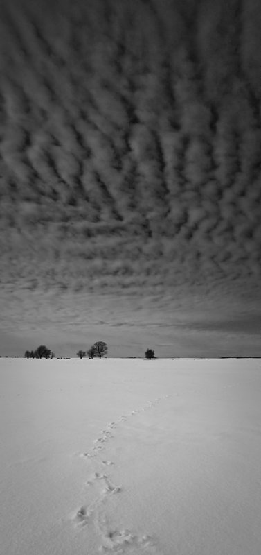 wojciech - ***. . Zdjęcie 13917